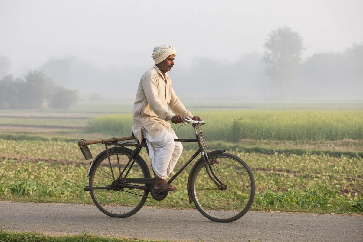 Farmer in a turban cycling along a rural road between misty fields with a wooden tool tied to the carrier