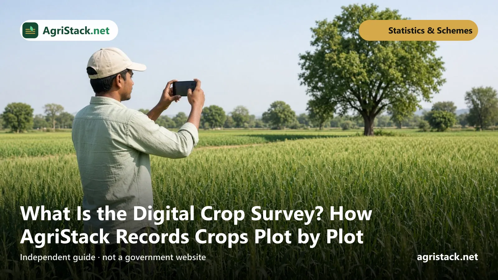 Young surveyor photographing a wheat crop with a smartphone while standing inside a field plot