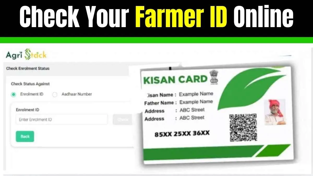 Check Your Farmer ID Online